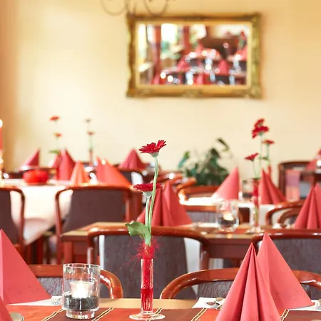 Moorland Am Senkelteich