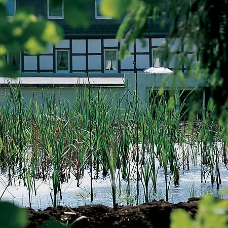 Moorland Am Senkelteich